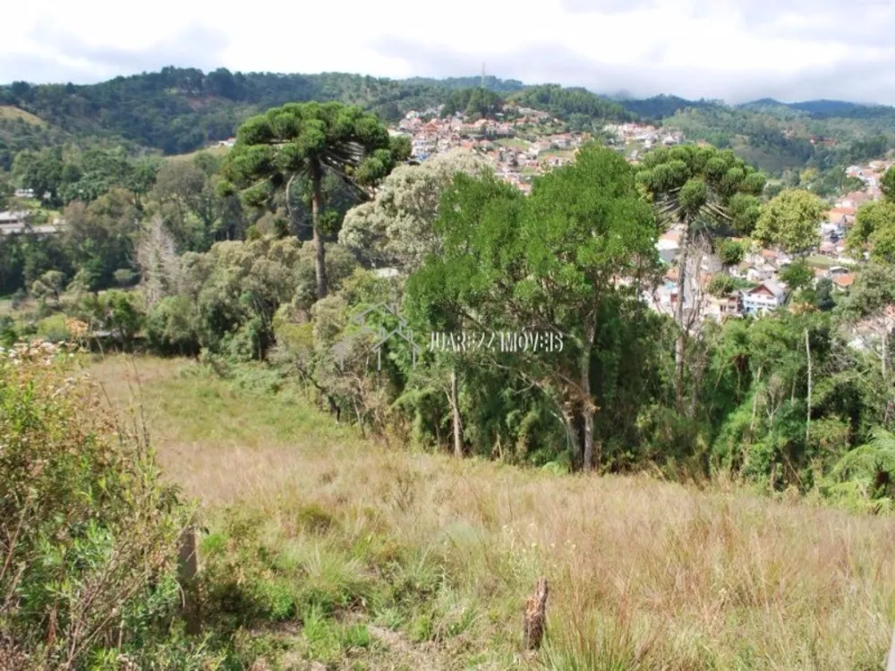 Terreno, 1740 m² - Foto 5