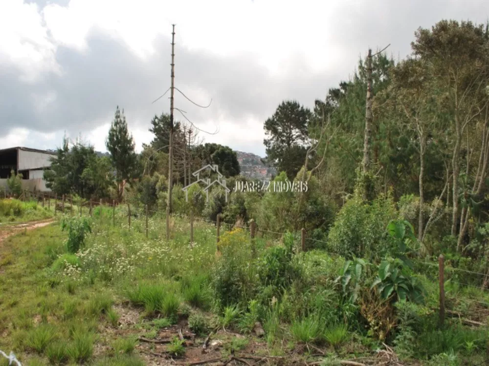 Terreno, 530 m² - Foto 5