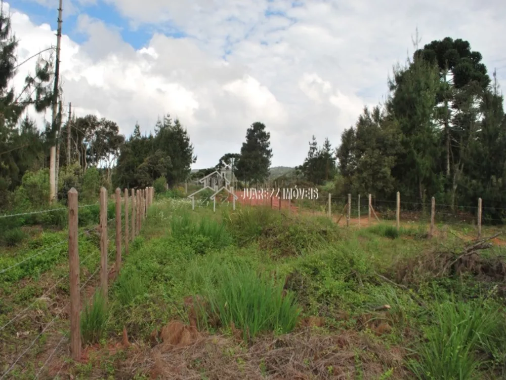 Terreno, 530 m² - Foto 7