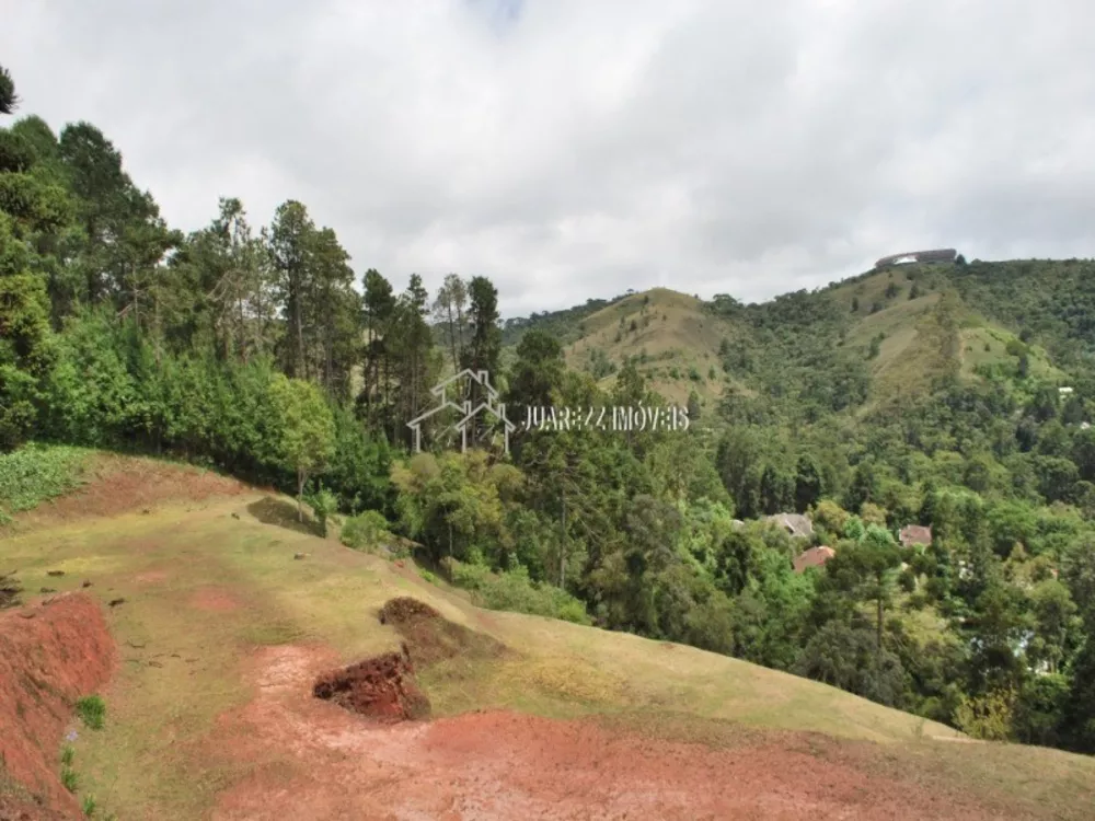 Terreno à venda, 6100m² - Foto 2