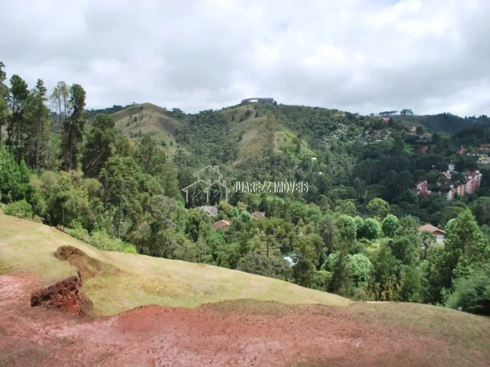 Terreno, 6100 m² - Foto 5