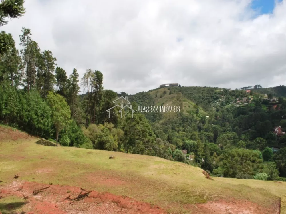 Terreno, 6100 m² - Foto 6