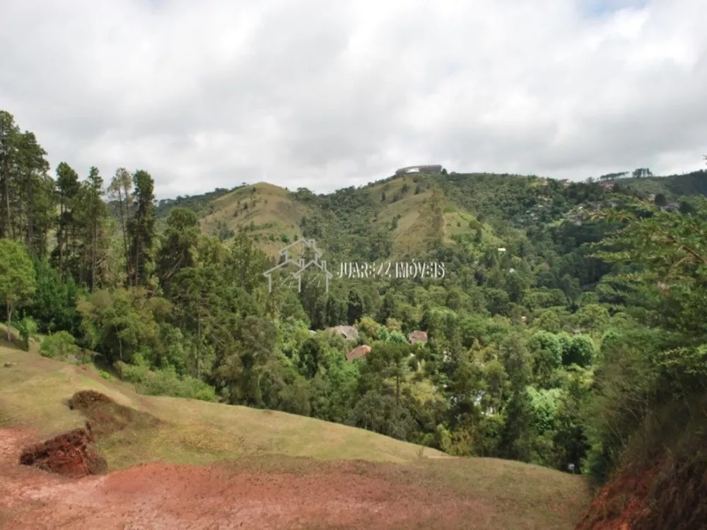 Terreno à venda, 6100m² - Foto 3