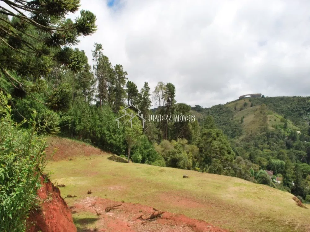 Terreno à venda, 6100m² - Foto 1