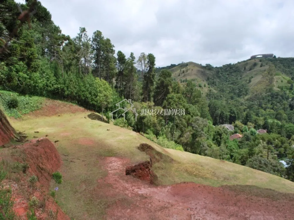 Terreno à venda, 6100m² - Foto 4