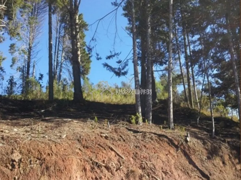 Terreno, 2360 m² - Foto 6