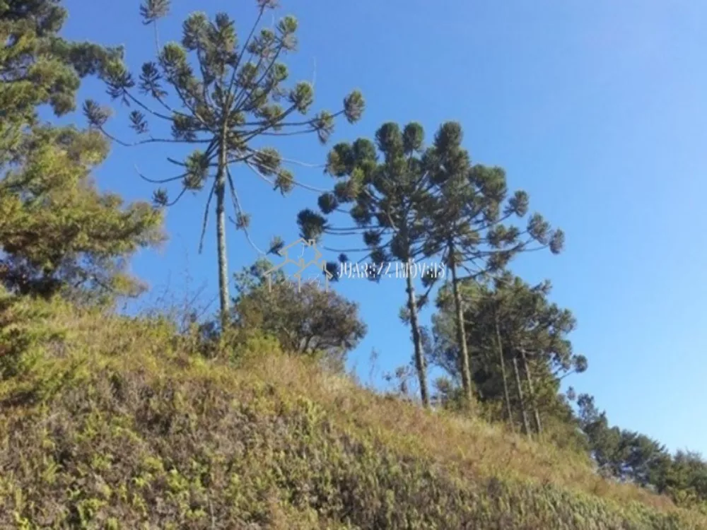 Terreno, 2360 m² - Foto 5