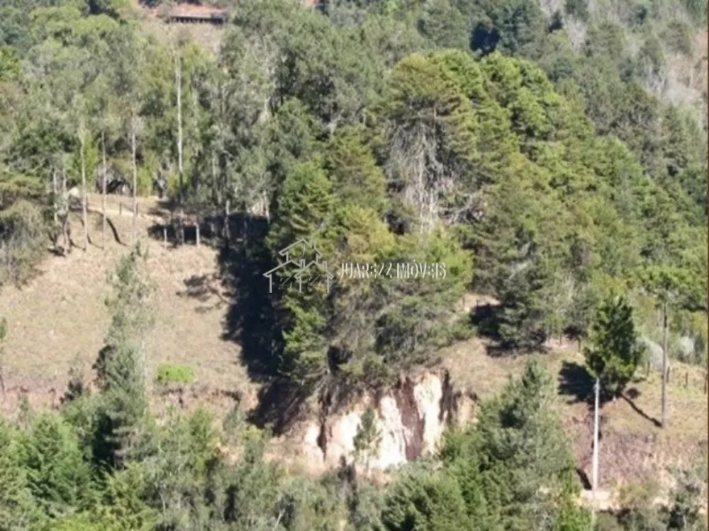Terreno, 2360 m² - Foto 8