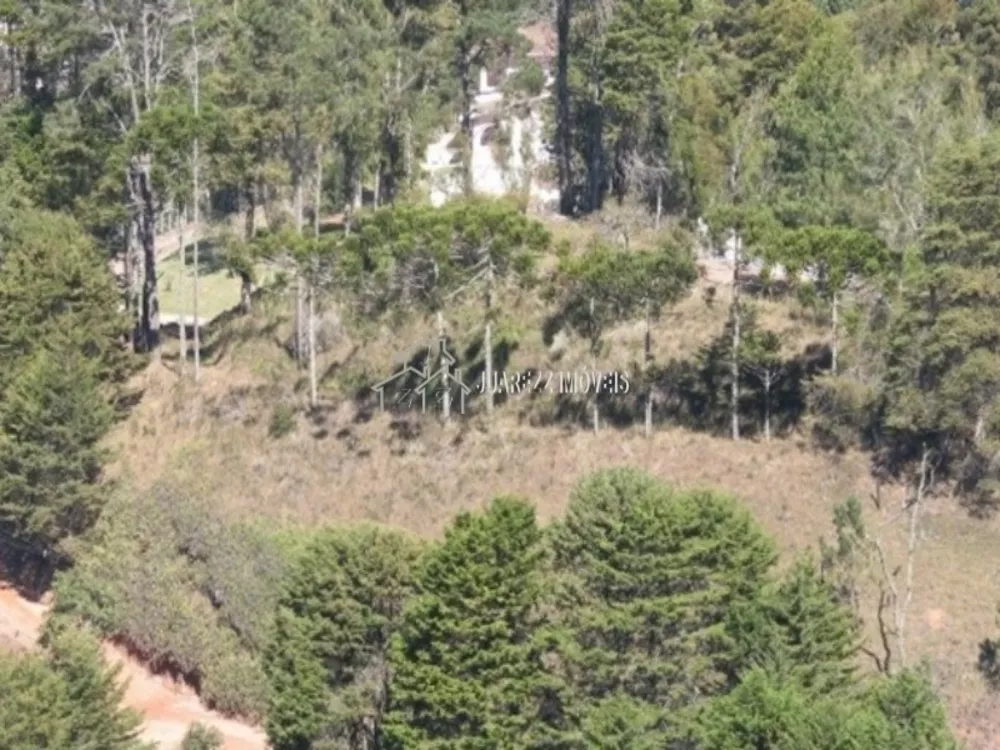 Terreno, 2360 m² - Foto 7