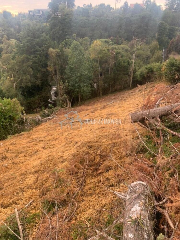 Terreno, 1014 m² - Foto 2