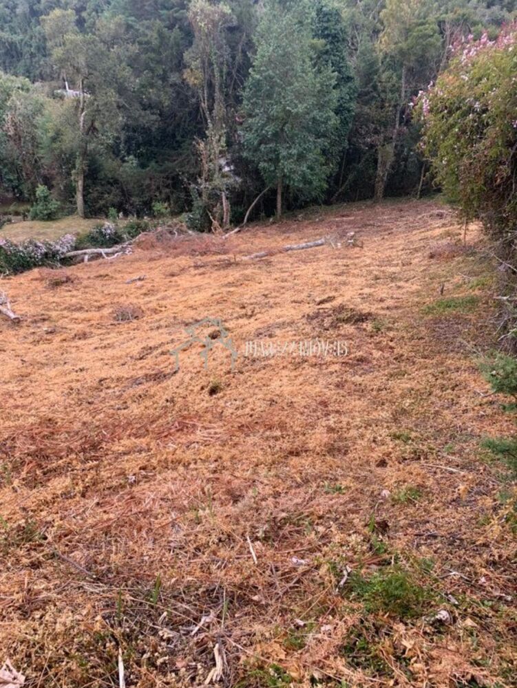 Terreno, 1014 m² - Foto 4