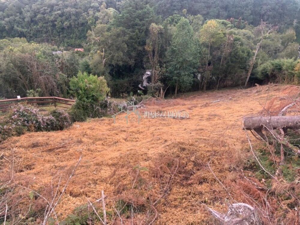 Terreno, 1014 m² - Foto 3