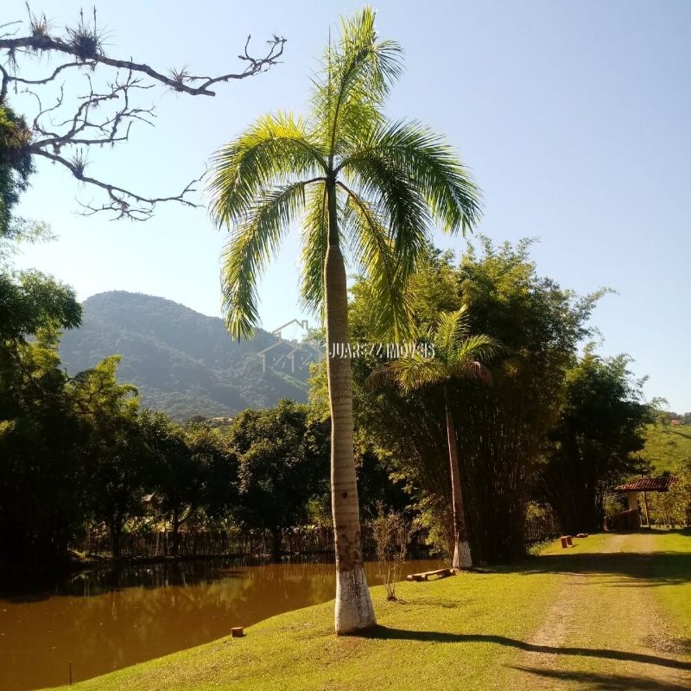 Sítio, 3 quartos - Foto 2