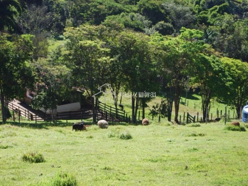 Sítio à venda com 3 quartos - Foto 1