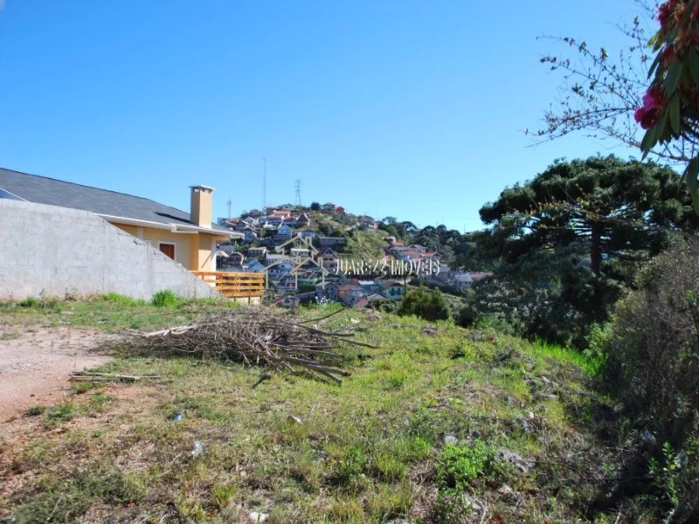 Terreno, 566 m² - Foto 4