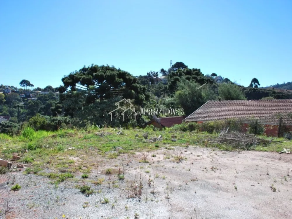 Terreno, 566 m² - Foto 2
