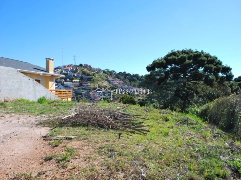 Terreno, 566 m² - Foto 3