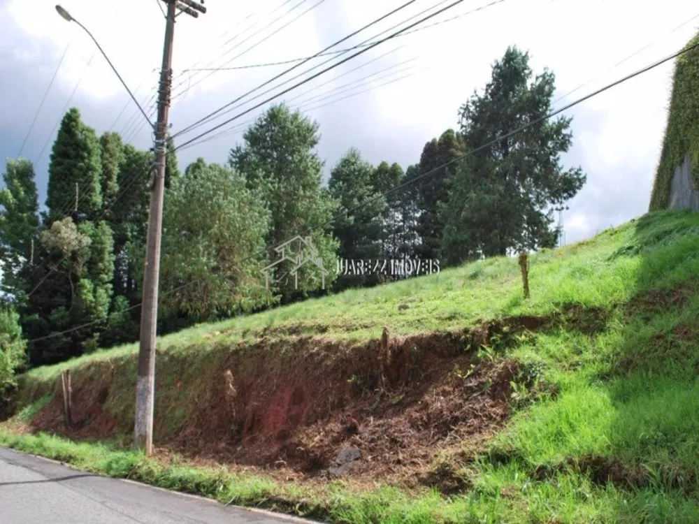 Terreno à venda, 1590m² - Foto 2