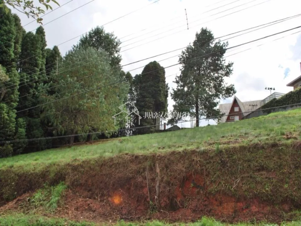 Terreno, 1590 m² - Foto 8