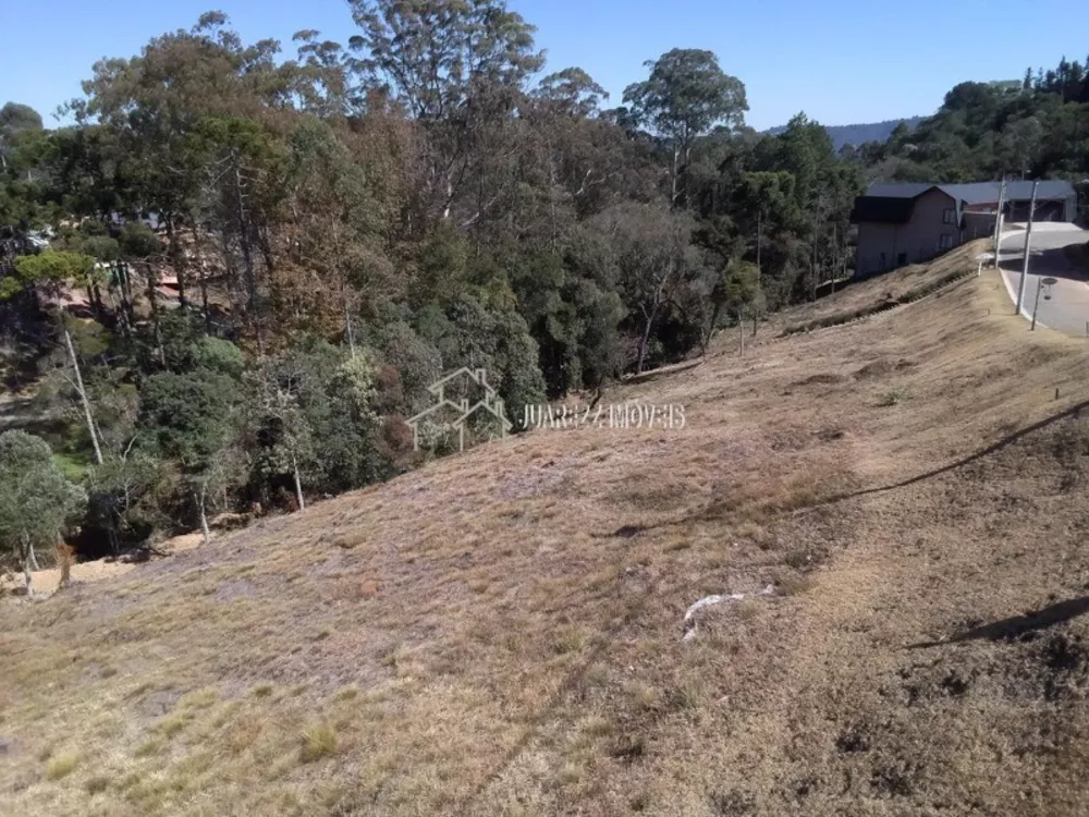 Terreno à venda, 1446m² - Foto 2