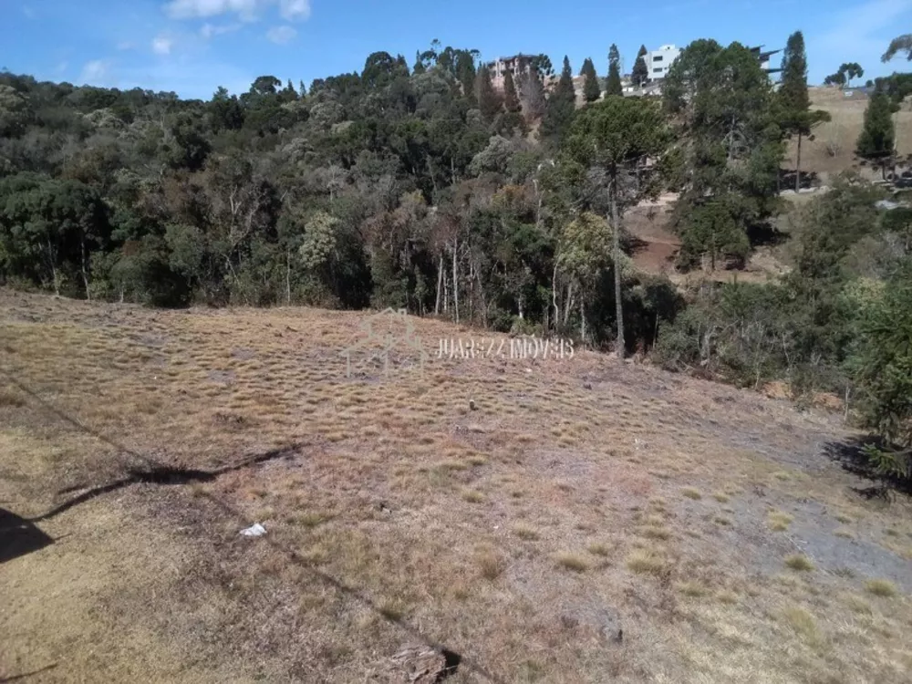 Terreno à venda, 1446m² - Foto 4