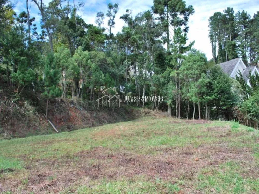 Terreno, 4277 m² - Foto 8