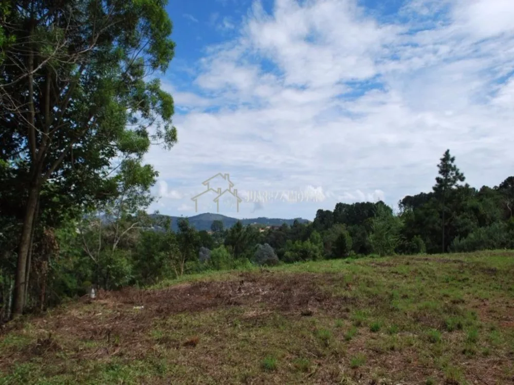 Terreno, 4277 m² - Foto 6