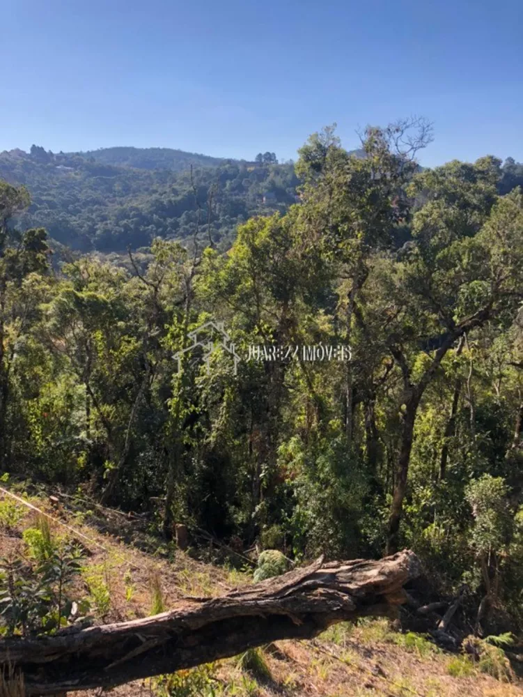 Terreno à venda, 1780m² - Foto 3