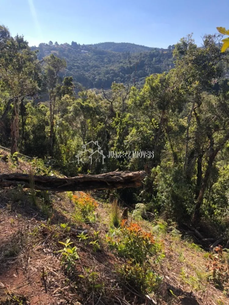 Terreno à venda, 1780m² - Foto 4