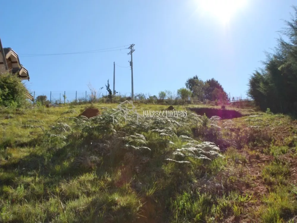 Terreno, 1010 m² - Foto 5