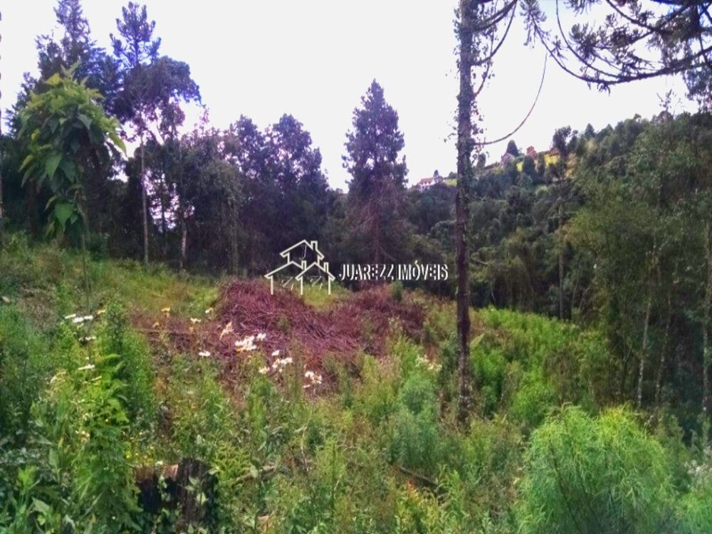 Terreno, 3200 m² - Foto 1