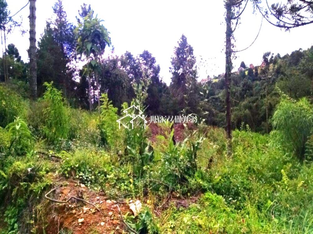 Terreno, 3200 m² - Foto 2