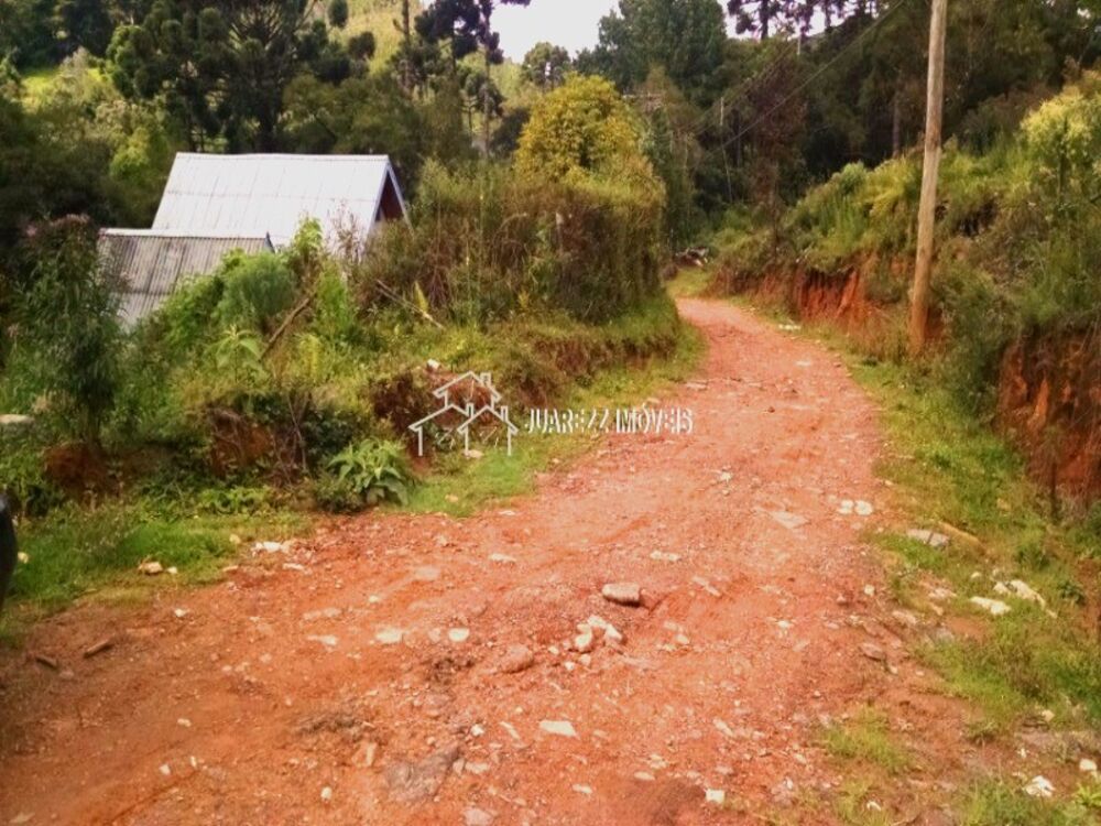 Terreno, 3200 m² - Foto 4