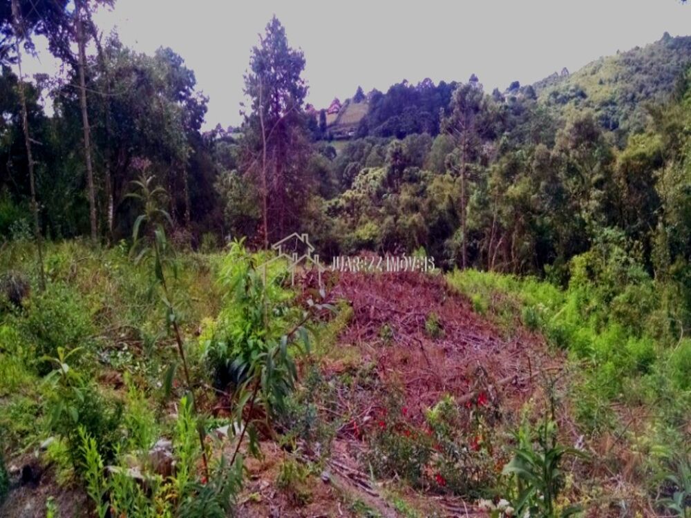 Terreno, 3200 m² - Foto 3