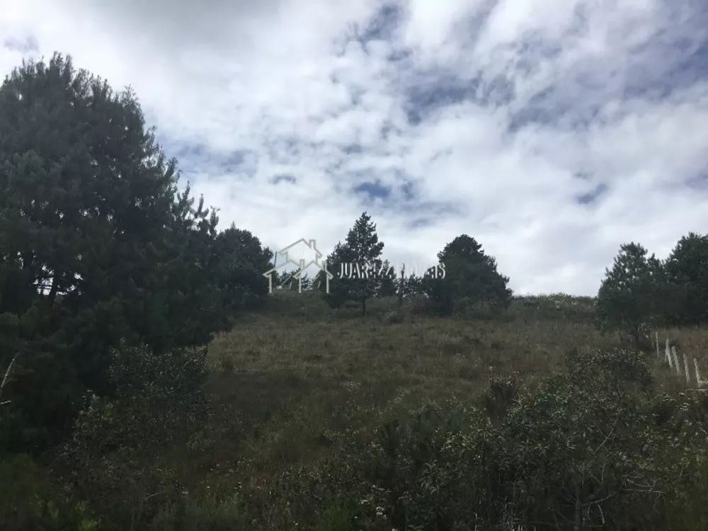 Terreno, 1090 m² - Foto 5