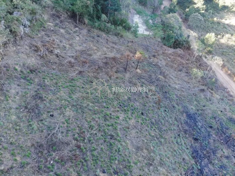 Terreno, 1767 m² - Foto 2