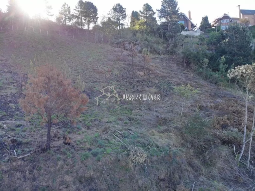 Terreno, 1767 m² - Foto 3