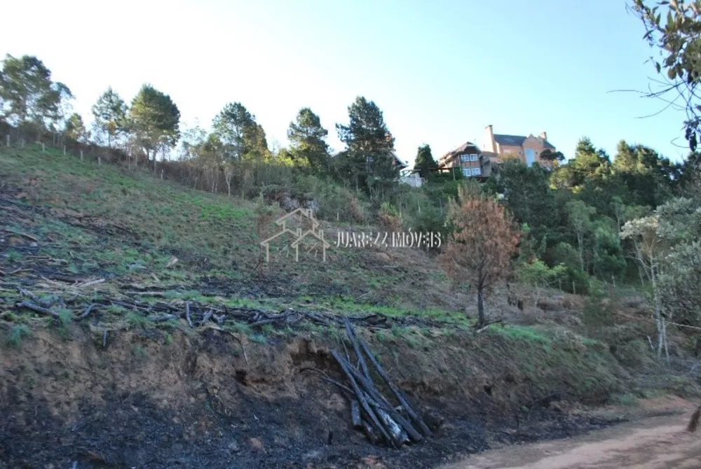 Terreno, 1767 m² - Foto 1