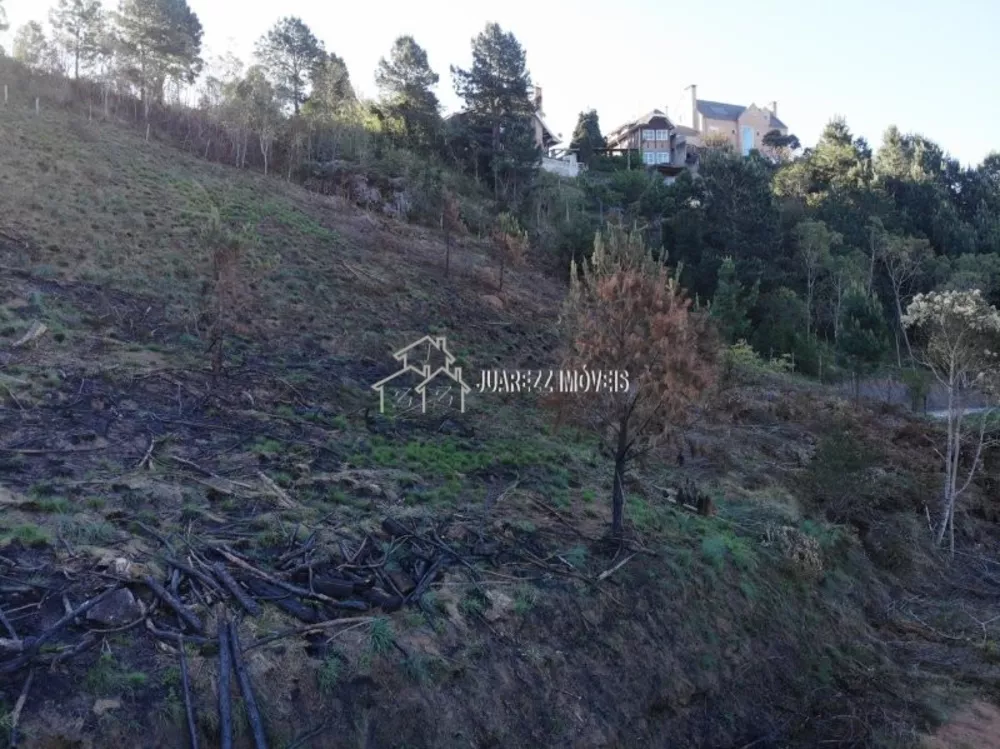 Terreno, 1767 m² - Foto 4