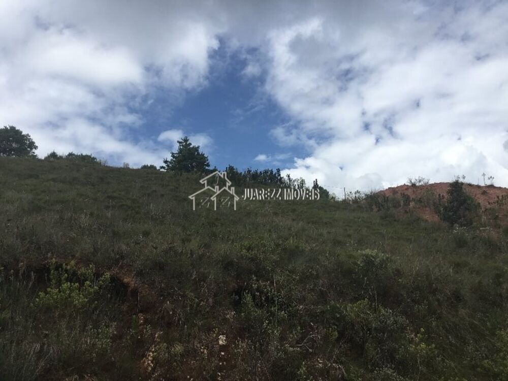 Terreno, 1230 m² - Foto 6