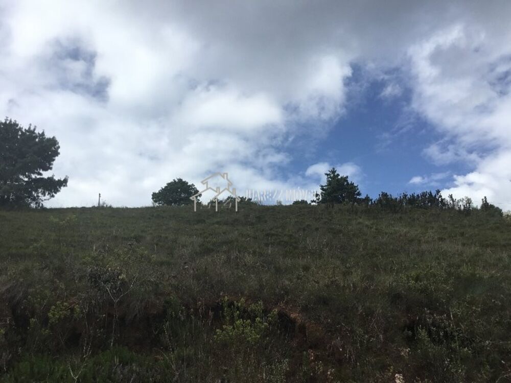 Terreno, 1230 m² - Foto 5