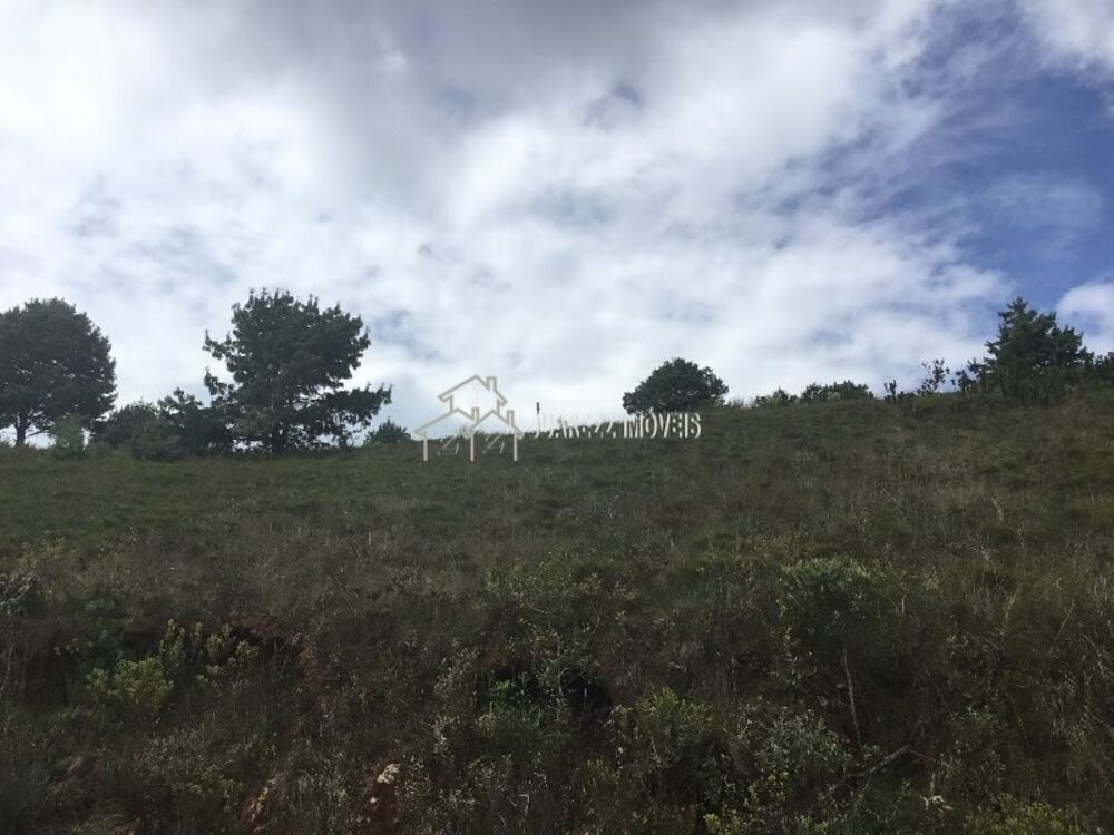 Terreno, 1230 m² - Foto 2