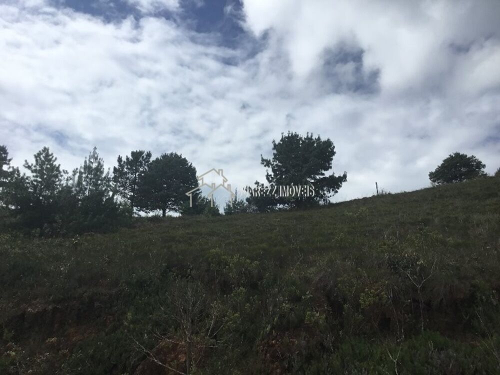 Terreno, 1230 m² - Foto 7