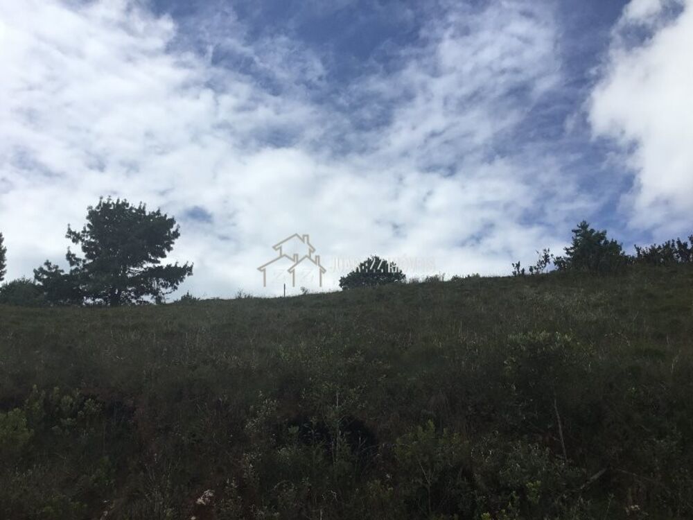 Terreno, 1230 m² - Foto 10