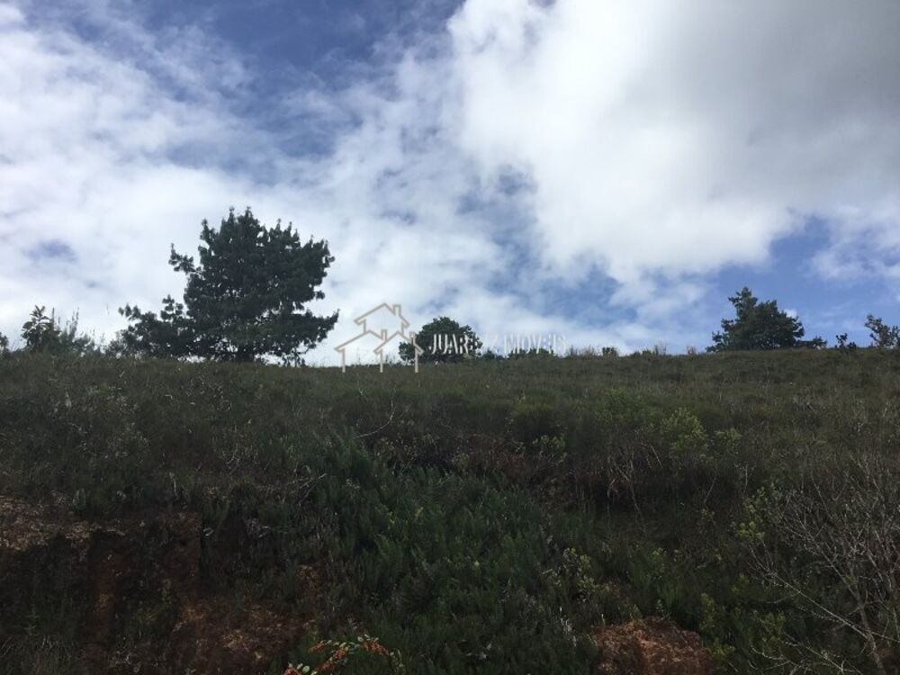 Terreno, 1230 m² - Foto 8