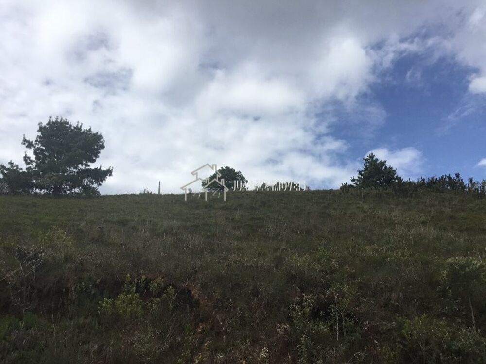 Terreno, 1230 m² - Foto 4