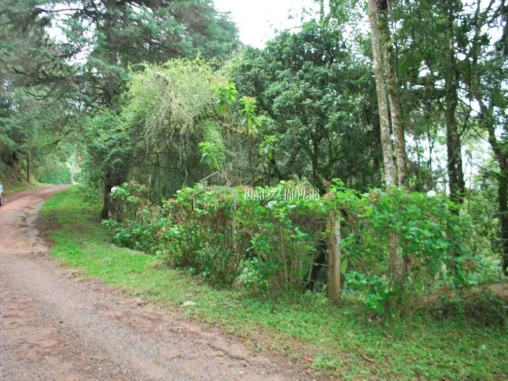 Terreno à venda, 1350m² - Foto 1