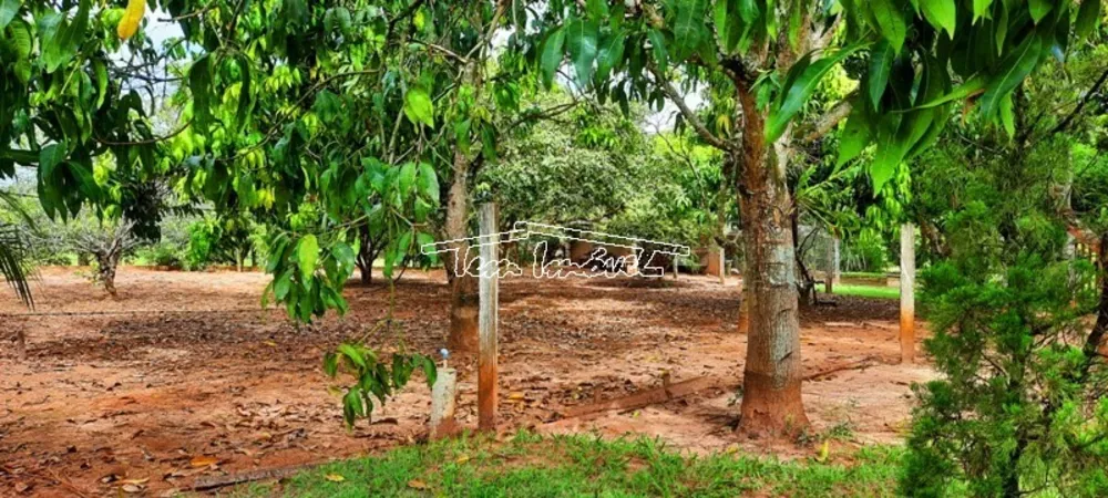 Fazenda à venda com 3 quartos, 250m² - Foto 3