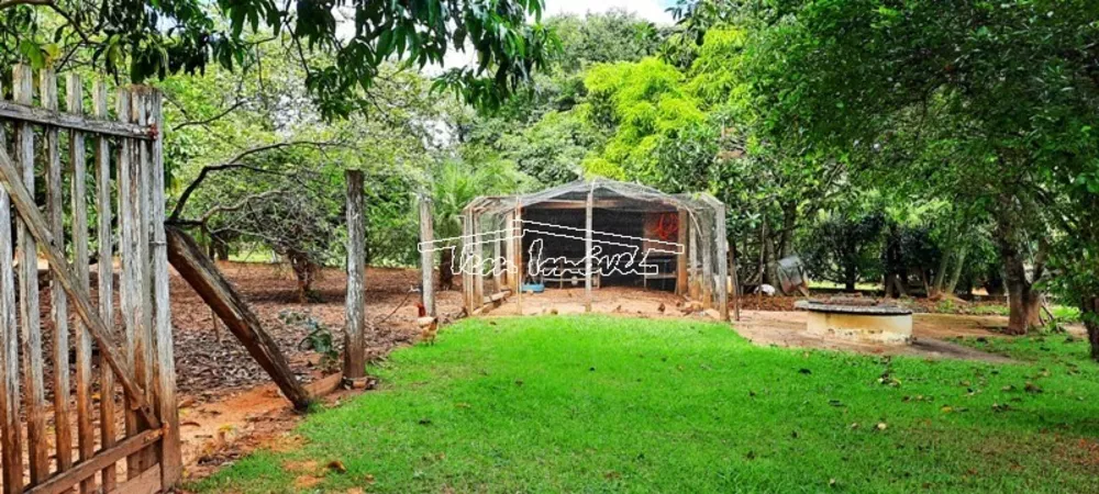 Fazenda à venda com 3 quartos, 250m² - Foto 4