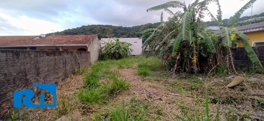 Terreno à venda, 300m² - Foto 2